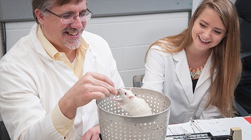 Converse College Research