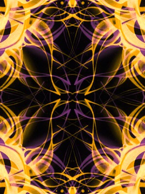 Guest Artist Series