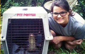 Jordan Taylor Zoo