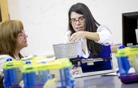 Research At Converse College