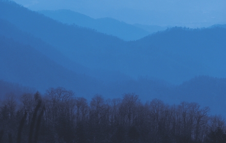 /nas/content/live/converseedu/wp-content/uploads/2015/12/bynaphotored%5B1%5D