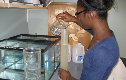 converse-soy-research-project-makes-headlines