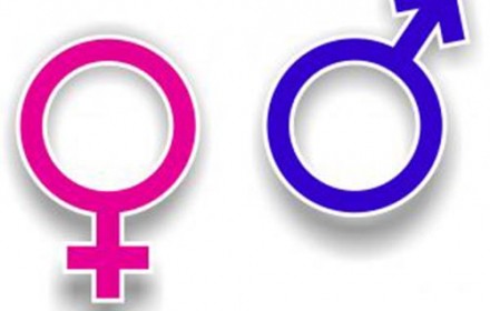 converse-to-host-conference-on-gender-learning-differences