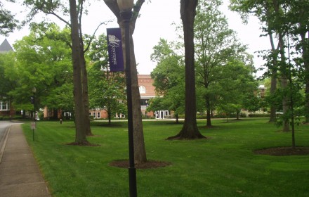 converse-wins-first-place-in-annual-landscape-contest