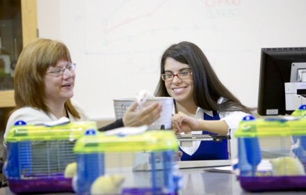 dr-monica-mccoy-named-case-2010-south-carolina-professor-of-the-year