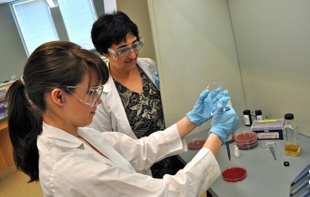 high-school-students-team-with-converse-faculty-for-research