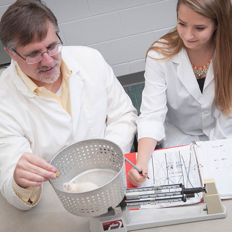 Research at Converse College