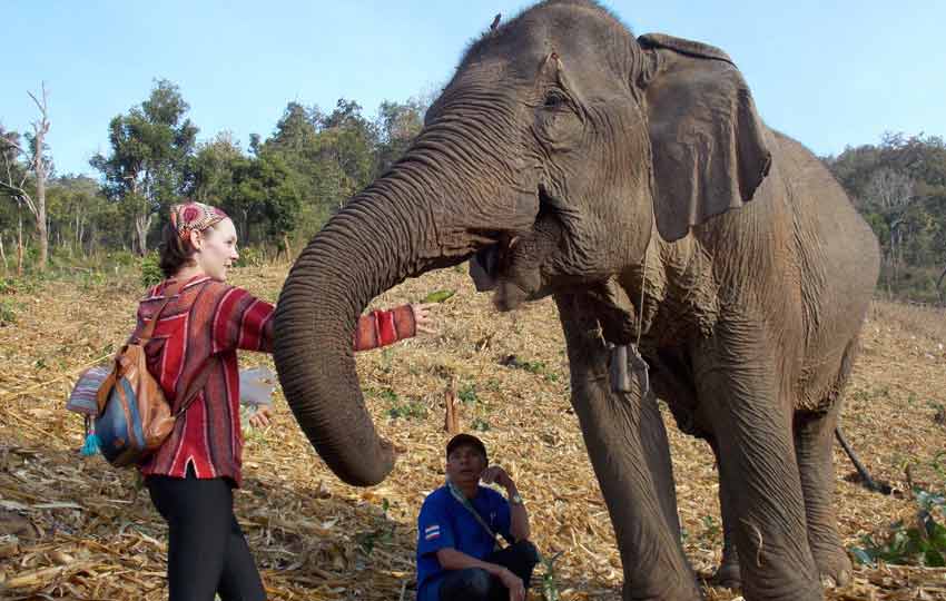 Biology student Amberleigh Dryman in Thailand rehabilitating elephants