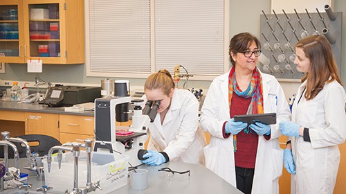 Erturk Teaching Biology