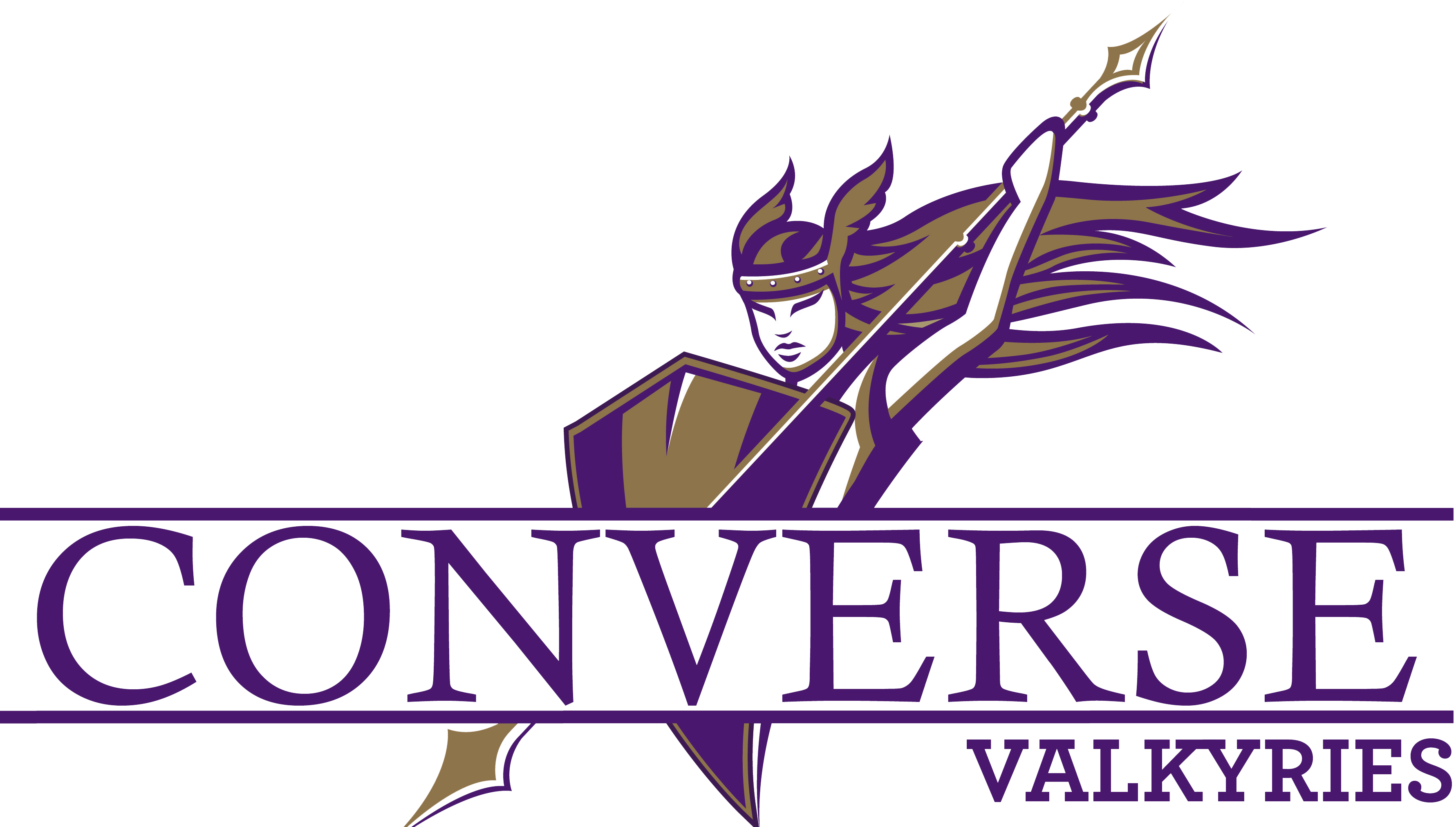 Valkries Logo Stacked