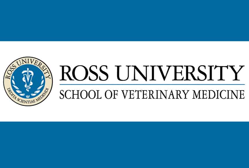 Heather McCrary Vet School