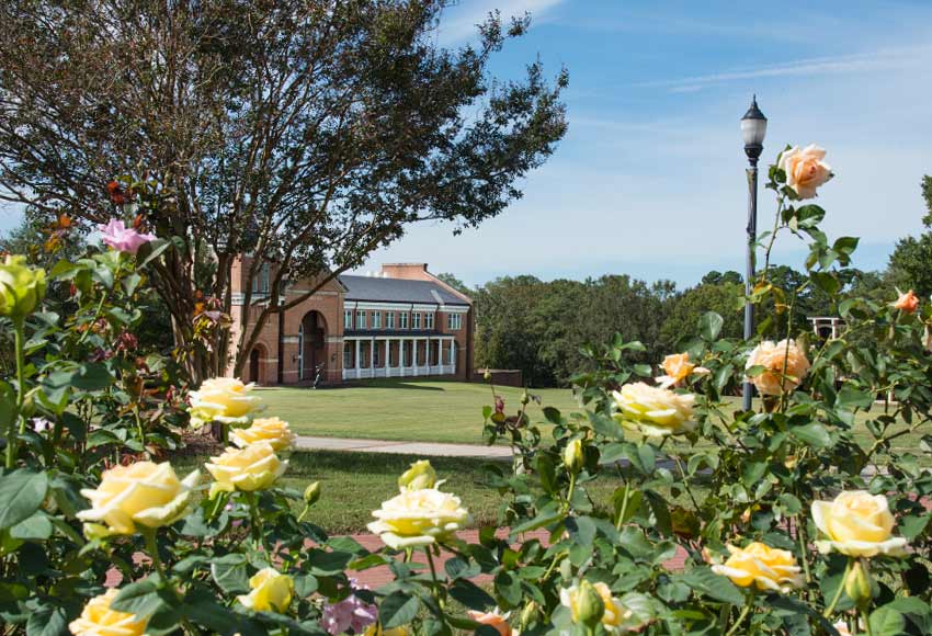 Image of Converse campus roses