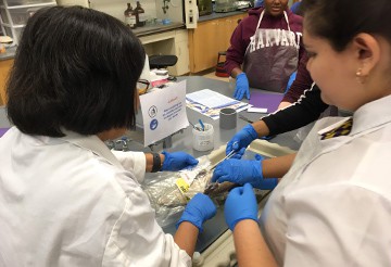 High school students dissect a fish