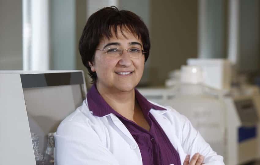 dr erturk receives grant