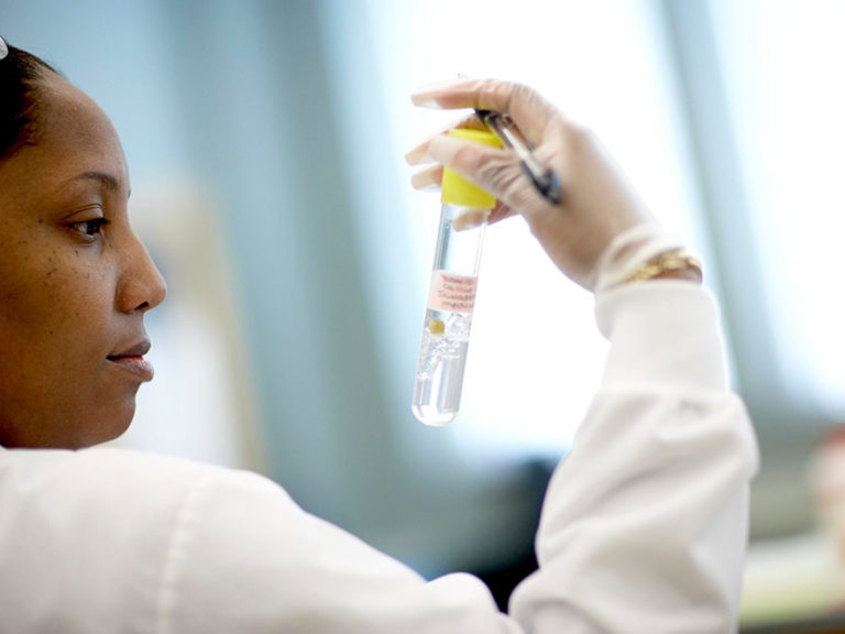 Life After Converse Science Grads Celebrate Career & Education