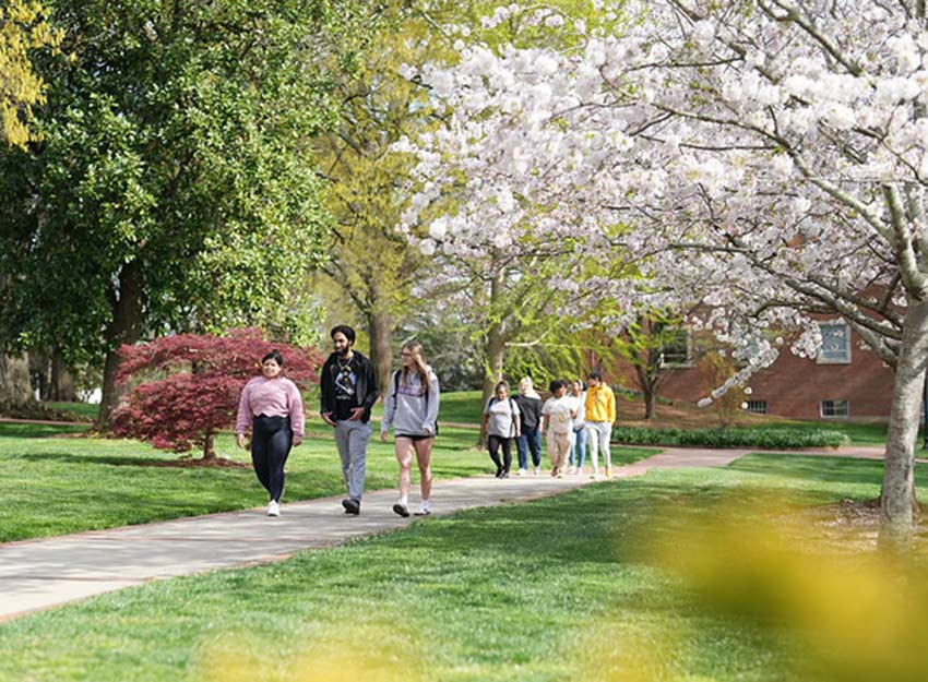 A group of students walk across campus on a spring day.
