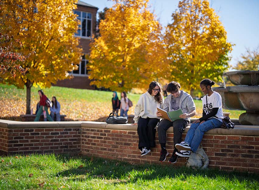 A group of students socializing on campus during a bright fall day.
