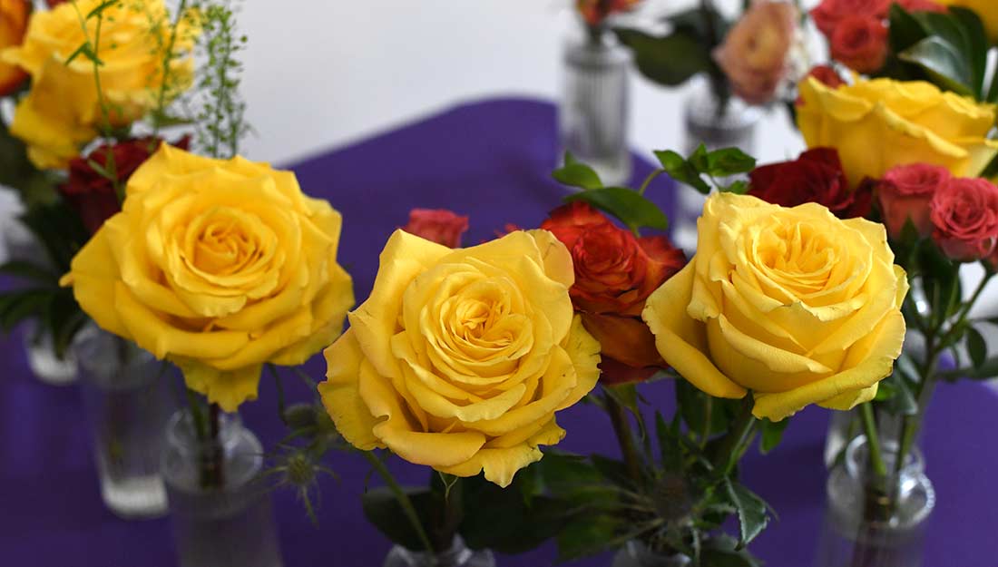 Single yellow roses in jars