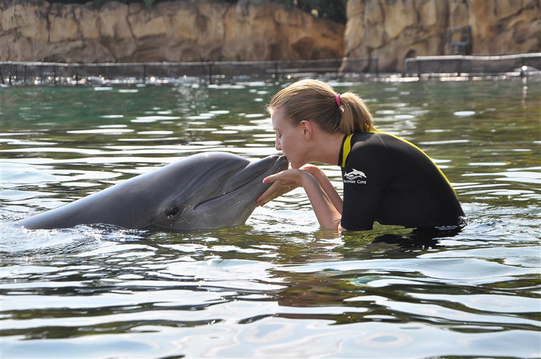 Stephanie kissing Dolphin