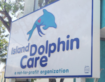 Island Dolphin Care sign